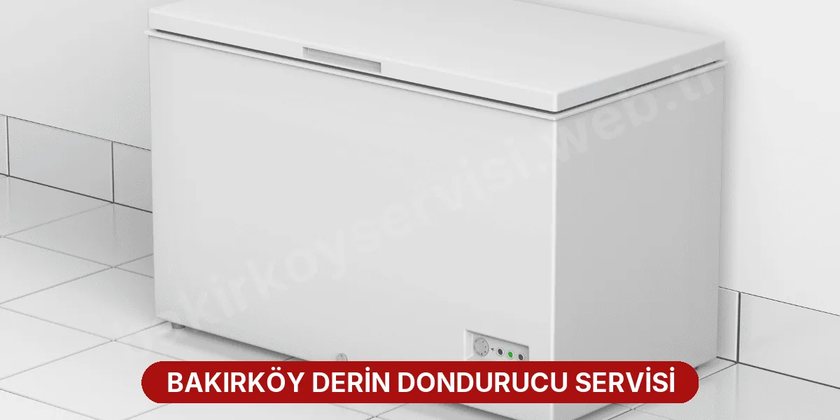 Bakırköy Derin Dondurucu Servisi