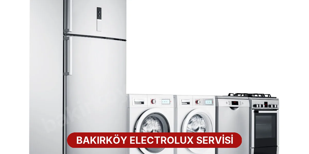 Bakırköy Electrolux Servisi