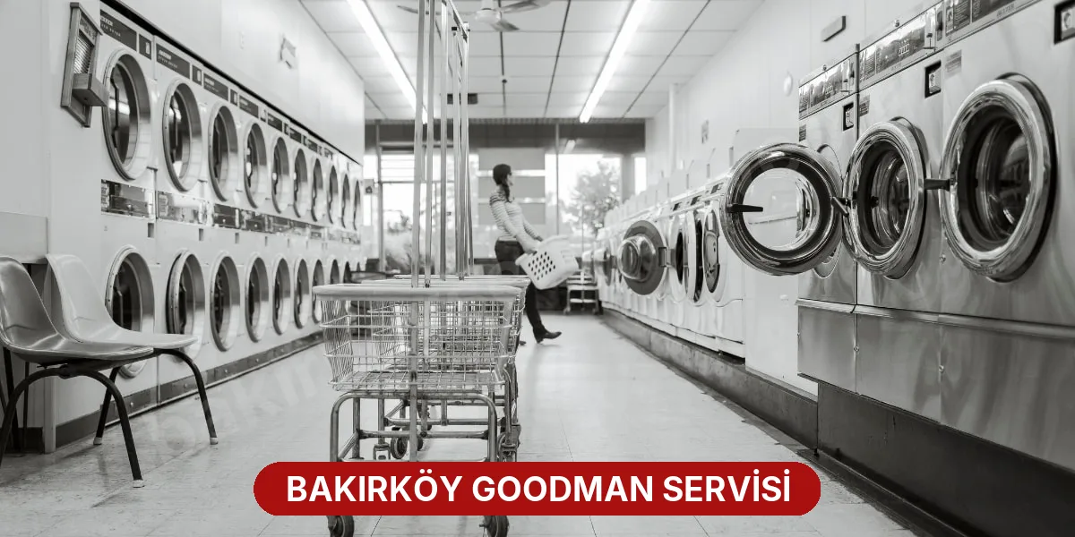 Bakırköy Goodman Servisi
