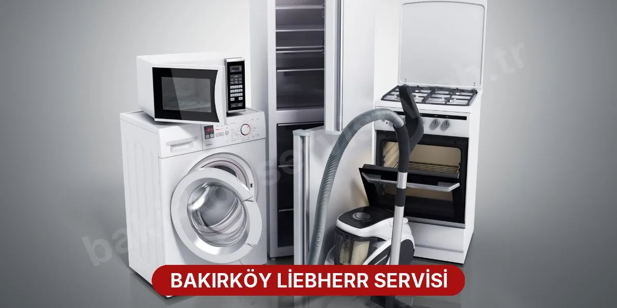 Bakırköy Liebherr Servisi