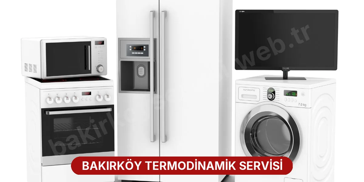 Bakırköy Termodinamik Servisi